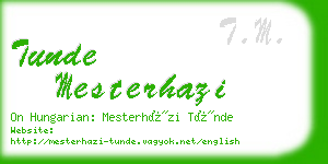 tunde mesterhazi business card